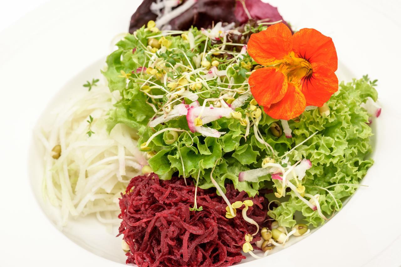 Berghüs Schratt - EINFACH ANDERS - Ihr vegetarisches und veganes Biohotel Oberstaufen Exterior foto
