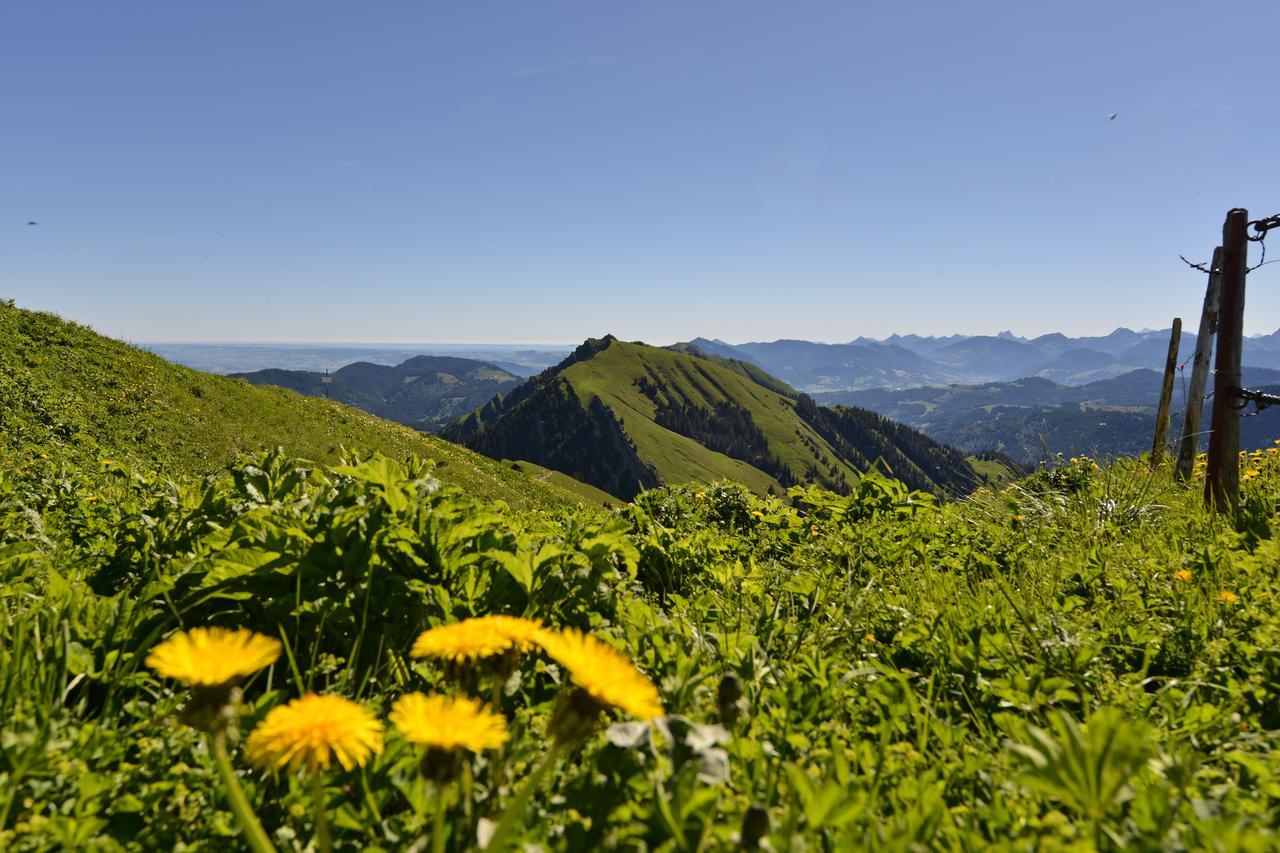Berghüs Schratt - EINFACH ANDERS - Ihr vegetarisches und veganes Biohotel Oberstaufen Exterior foto